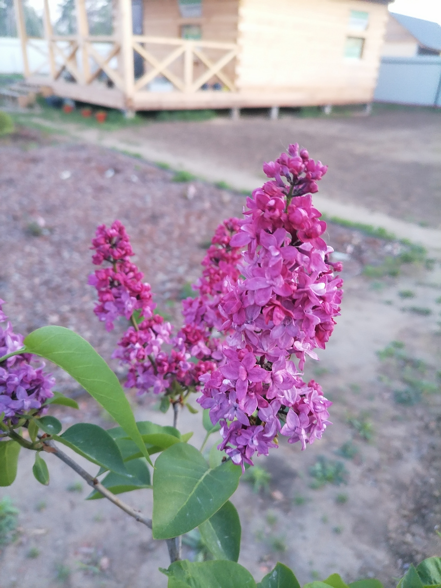 И все равно, она - прекрасна!