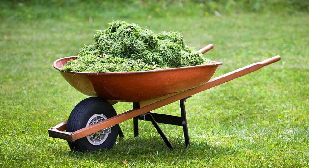 Как использовать скошенную траву на участке с пользой