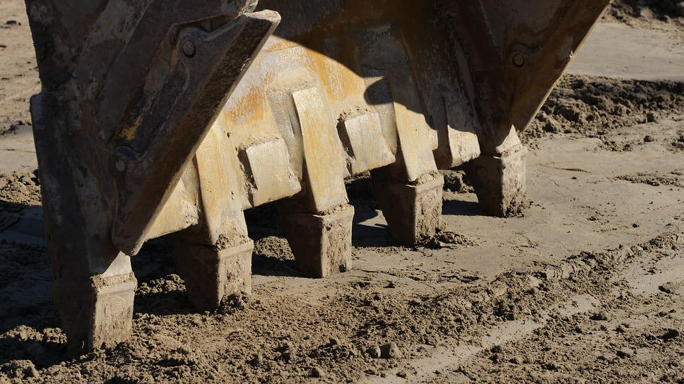 Фото: Евгения Яблонская / Коммерсантъ