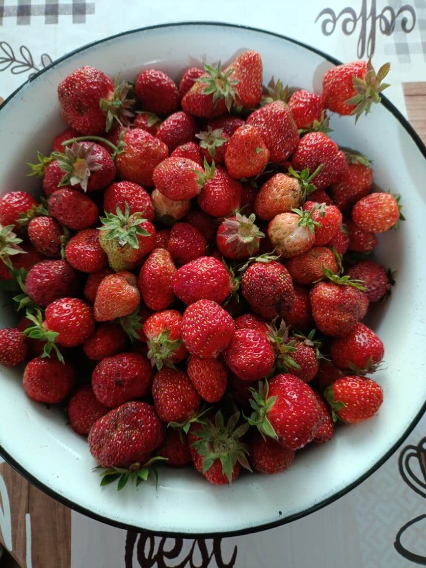 Деревенские радости