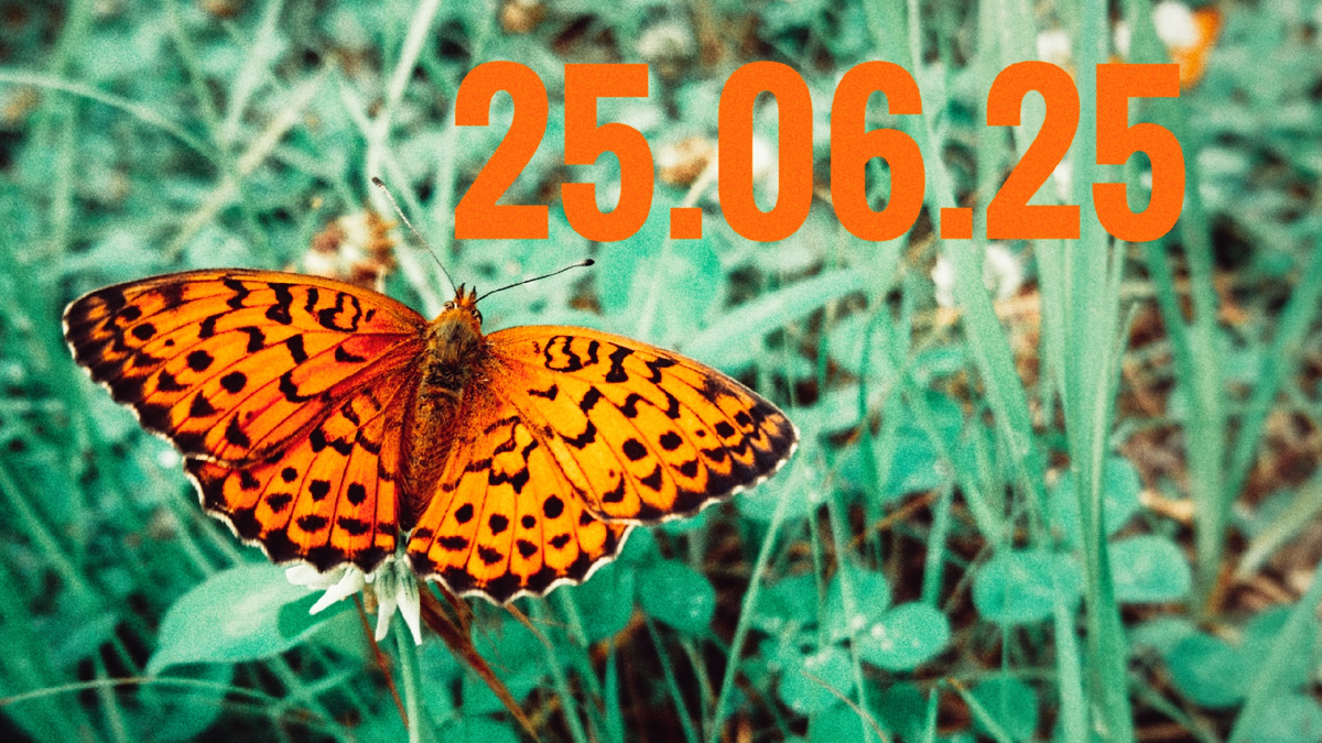 25 июня особенный день