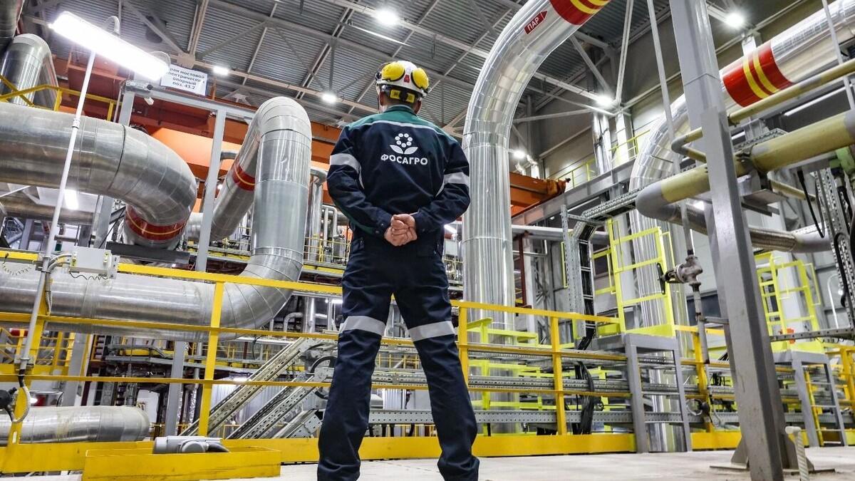 Государство хочет стимулировать глубокую переработку. Фото: Петр Ковалев. newizv.ru/ТАСС