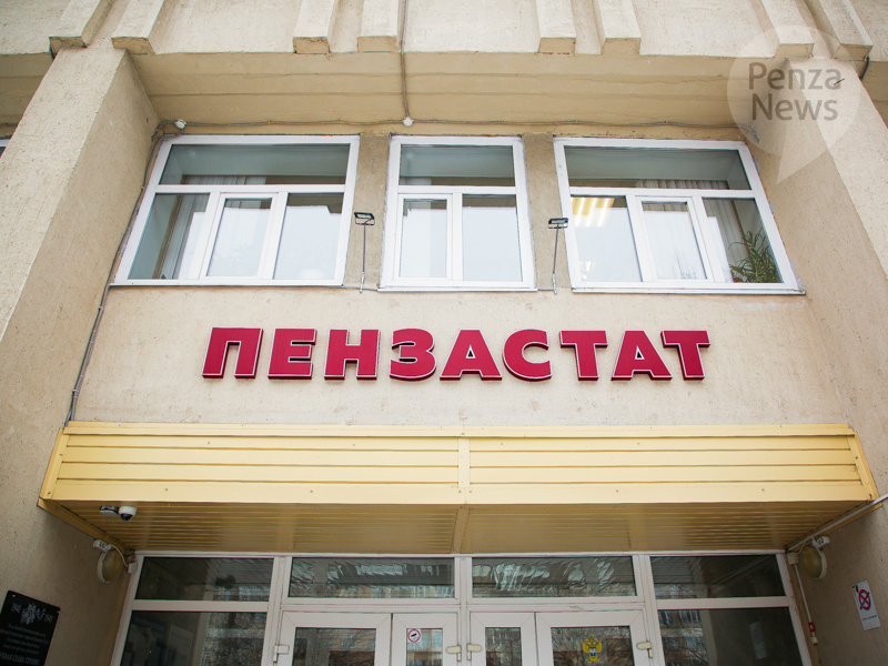    © Фото из архива ИА «PenzaNews»