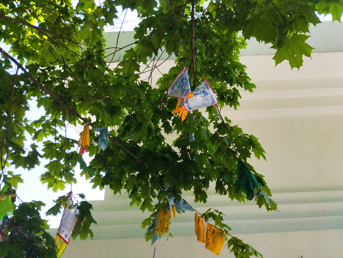 Парк Отрада. Буддийский храмовый комплекс Тубден Шедублинг. ЗДЕСЬ и далее фото автора и(или) из личного архива автора, если не указано иначе.