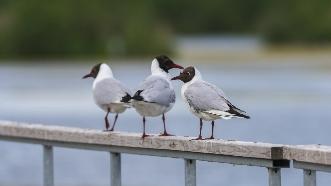    Shatokhina Natalia/news.ru/Globallookpress