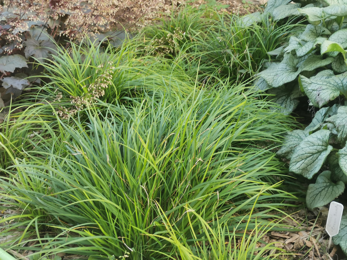 Но красотка ведь?