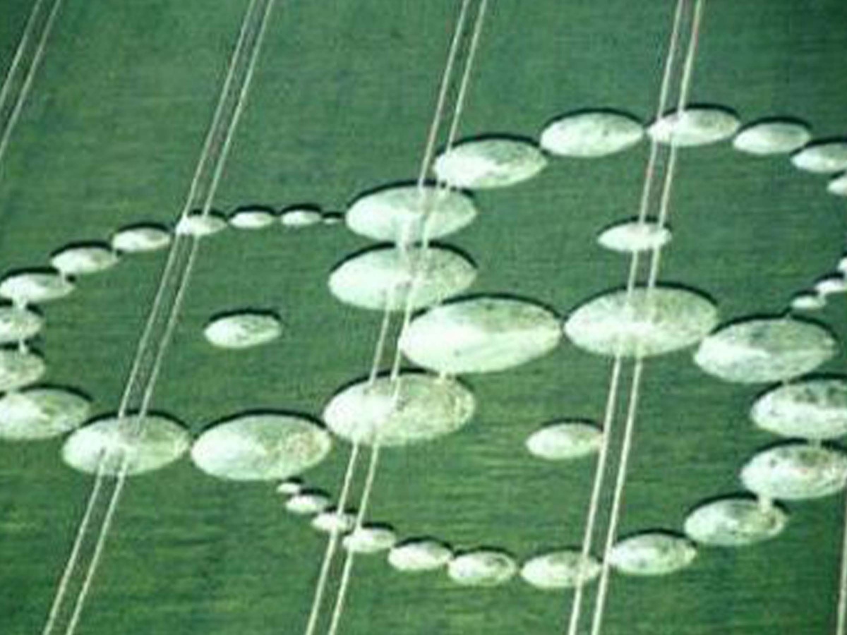 Типичный круг на полях (в форме трискелиона, состоящего из кругов). Источник - Википедия