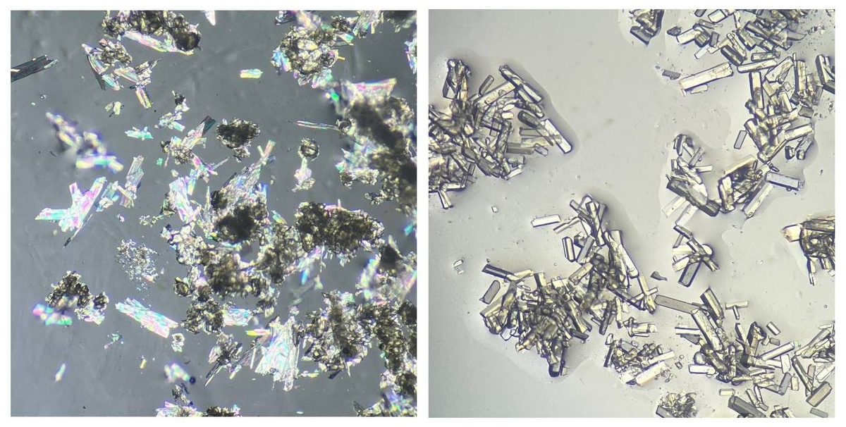 Кристаллы молекулярного (слева) и полимерного (справа) комплексов соединения европия. Источник: Виктория Гончаренко