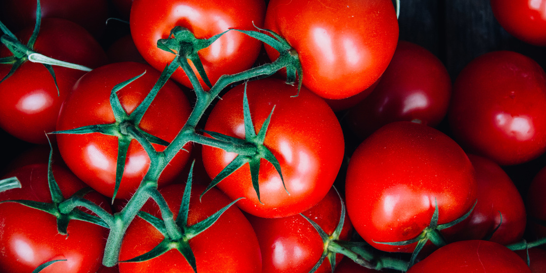 Подкормите томаты этим копеечным средством: плоды порадуют вас размером и вкусом!