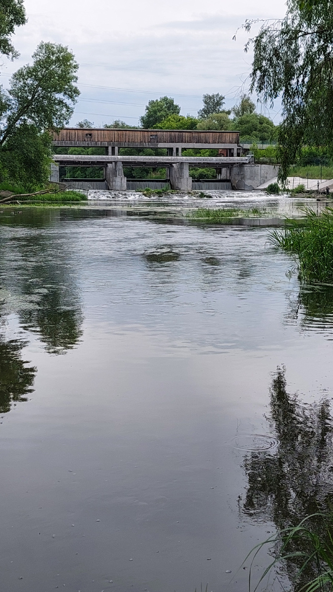 Сплав по реке Свияга. Фото автора 15.06.2024
