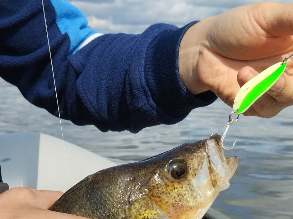 Фото: Александр Командин / ВКонтакте