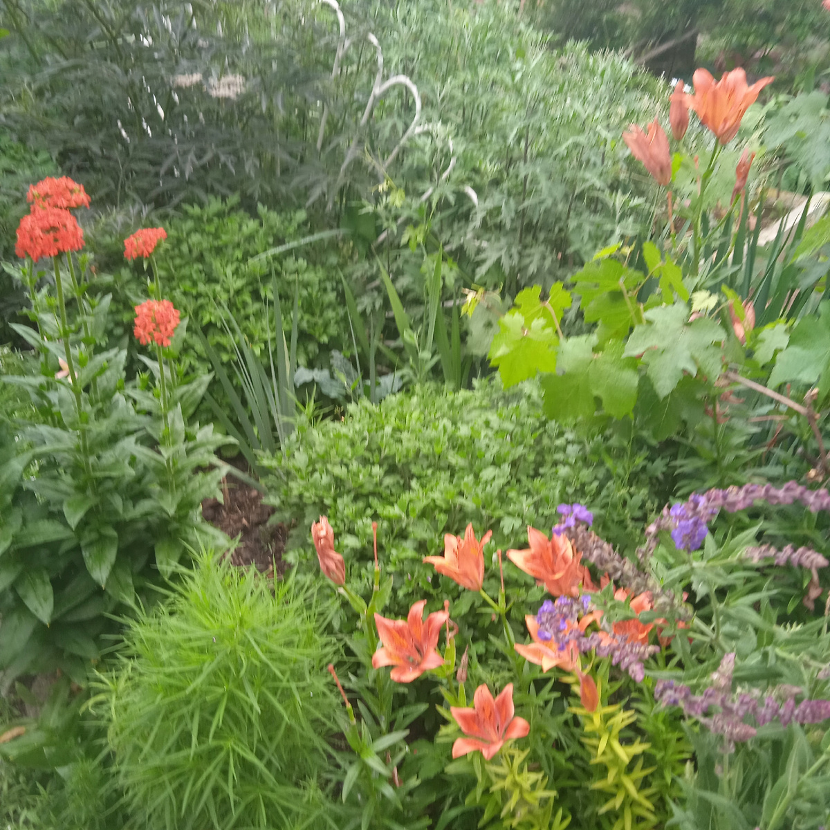 Это не фотки мутные, это дождь моросит.