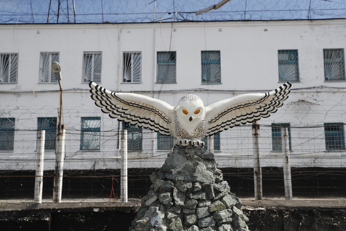 Колония "Полярная сова" (ИЗВЕСТИЯ/Алексей Майшев)