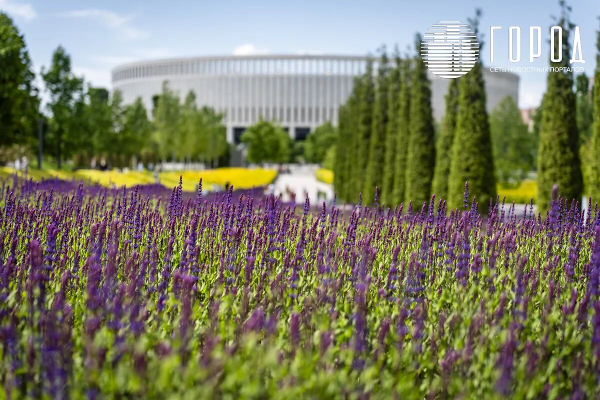 Фото: krd.gorod.space