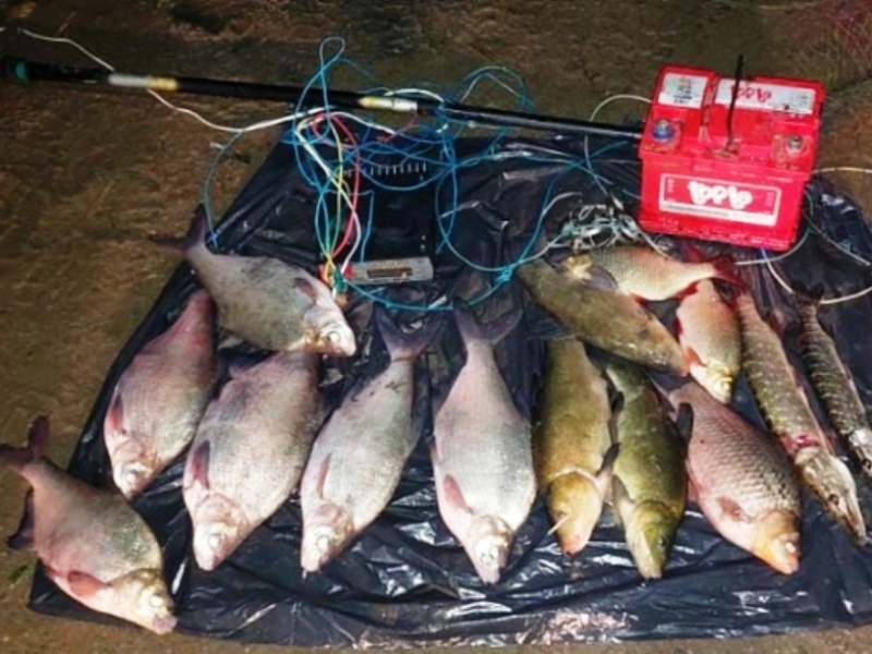 Столько добыли, а сколько сгниёт в камышах?