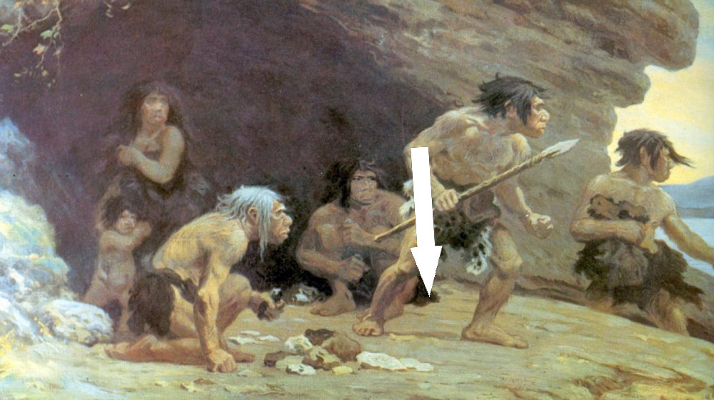    Тайна выживания Homo Sapiens Почему мы остались единственными людьми на планете