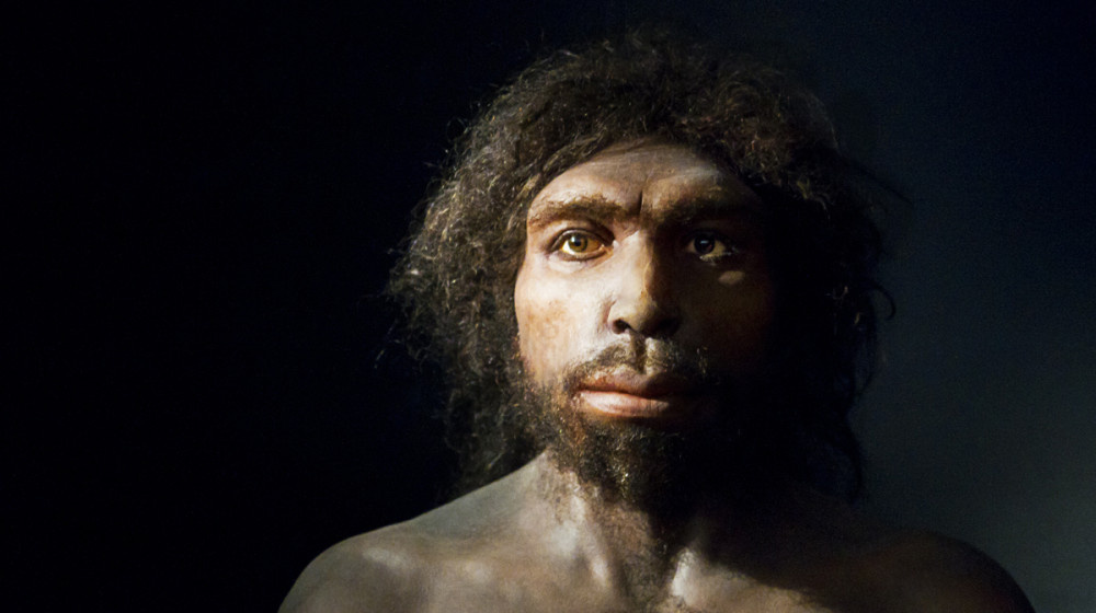    Тайна выживания Homo Sapiens Почему мы остались единственными людьми на планете