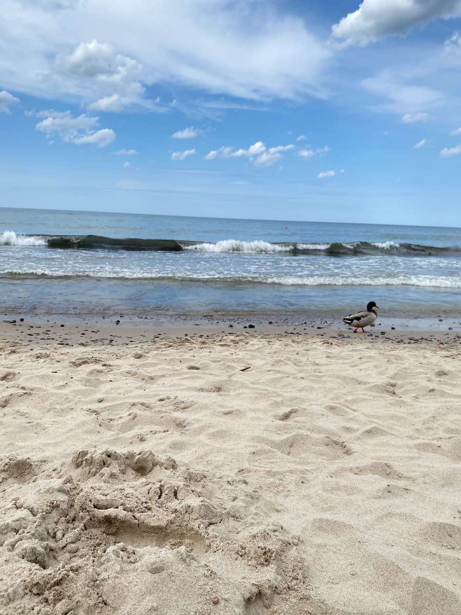 Балтика моя ❤️ 