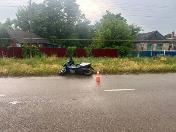    Фото: t.me/gibdd123region