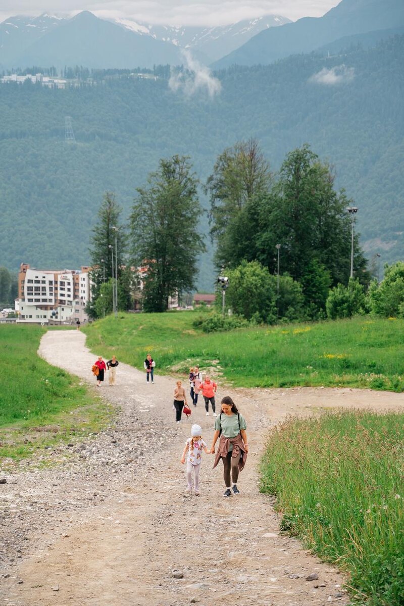 Прогулка лесной терапии