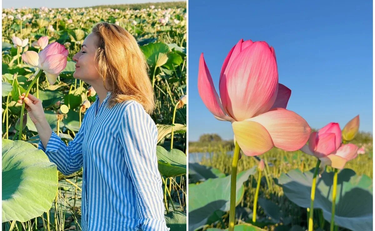    «Турслёт»: главное для нас – чтобы туристы чувствовали заботу, а агенты – поддержку