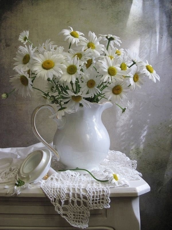 фото из открытых источников интернет