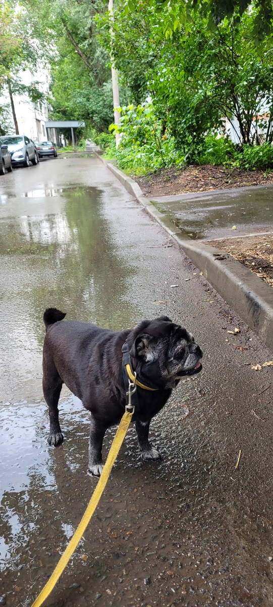 Мой день начинается не с кофе.