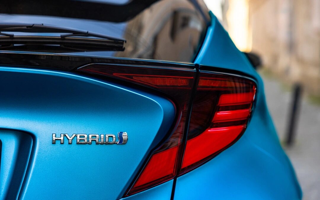 Фото: Ruslan Lytvyn / Shutterstock / FOTODOM