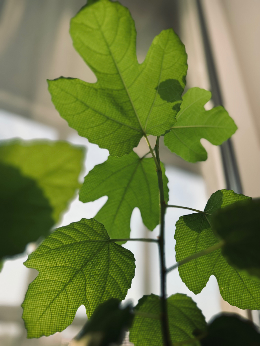 Фотография автора канала.