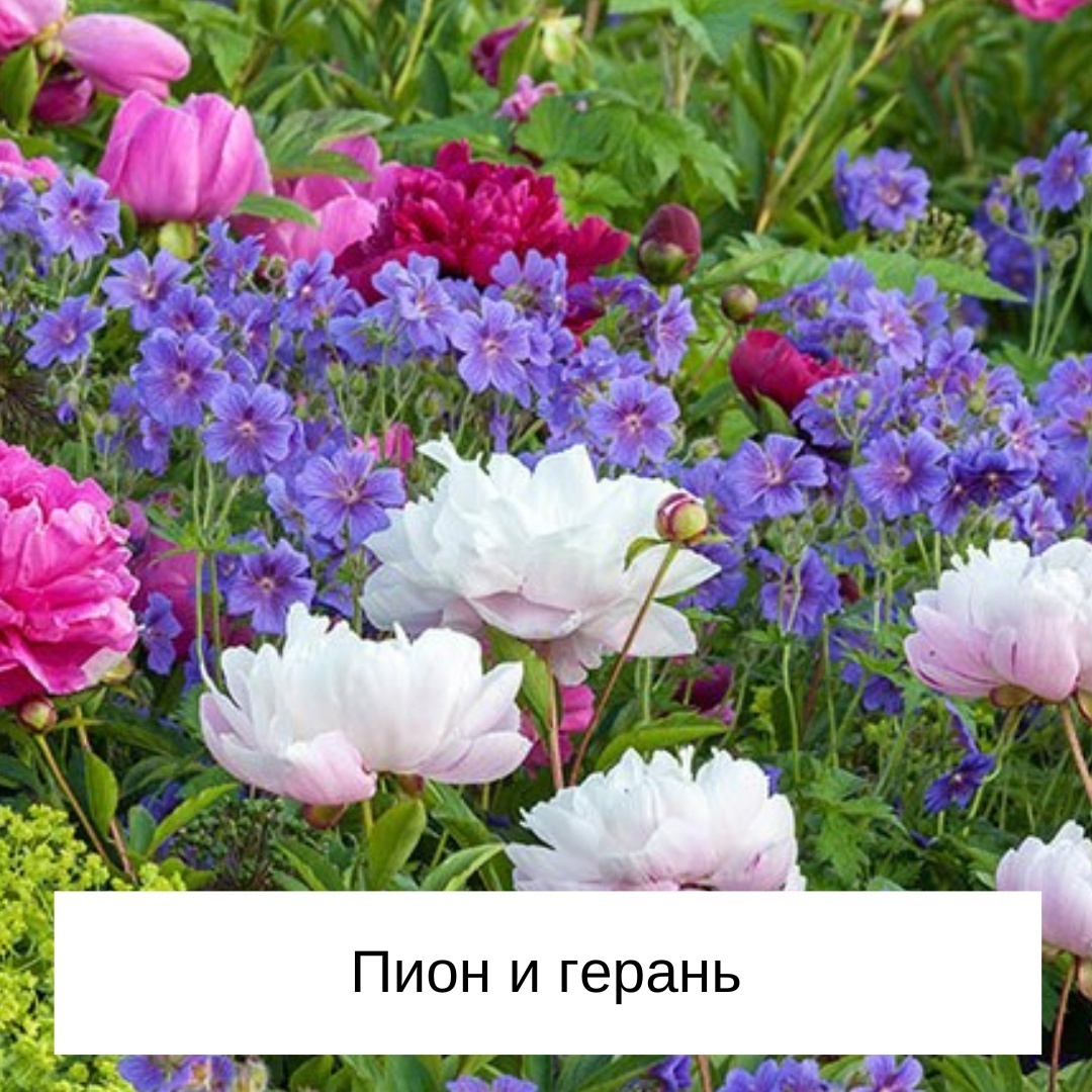 Листайте галерею по стрелке вправо 