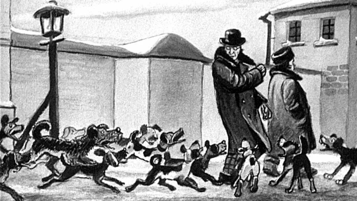 Картинка из открытых источников сети Интернет 