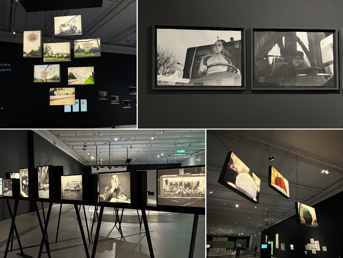 Фото автора канала. Дом культуры «ГЭС-2». Ольга Чернышева. Улица Сна.