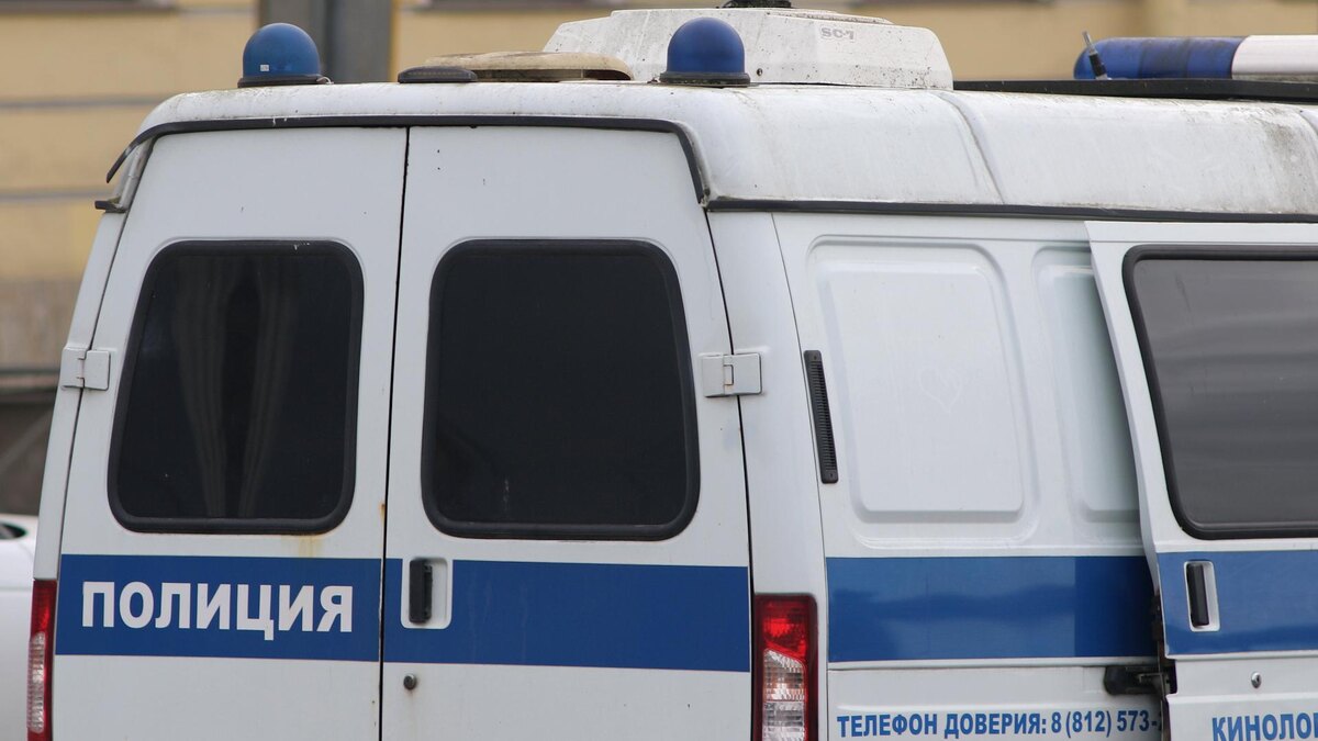    Фото: Maksim Konstantinov/globallookpress.com