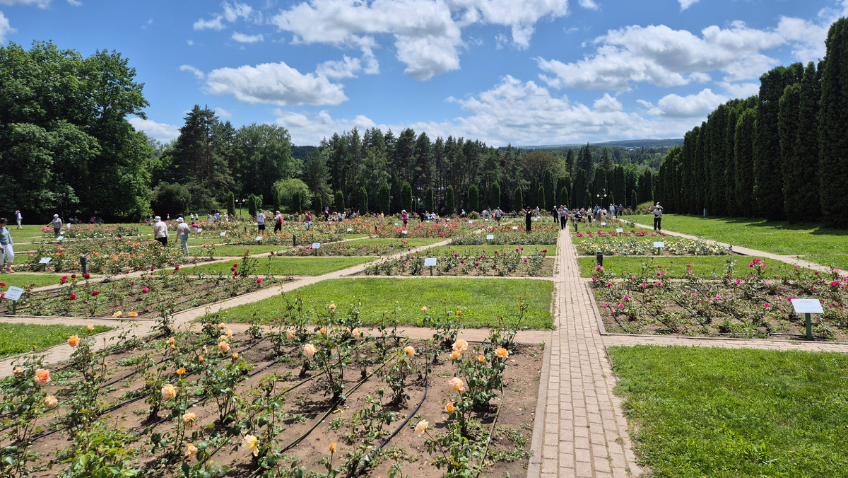 Долина роз в Кисловодске 