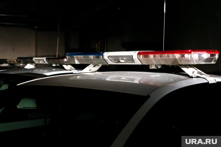 Нарушитель не выполнил требования полицейских и попытался скрыться
Фото: Ольга Юшкова © URA.RU