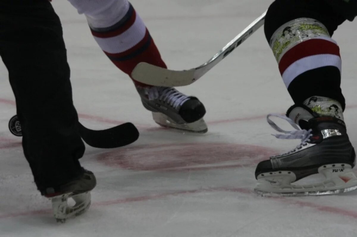    Сборную Франции по хоккею утвердили как участника ОИ-2026 вместо России