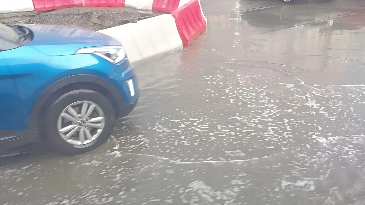     Источник: rostovgazeta.ru