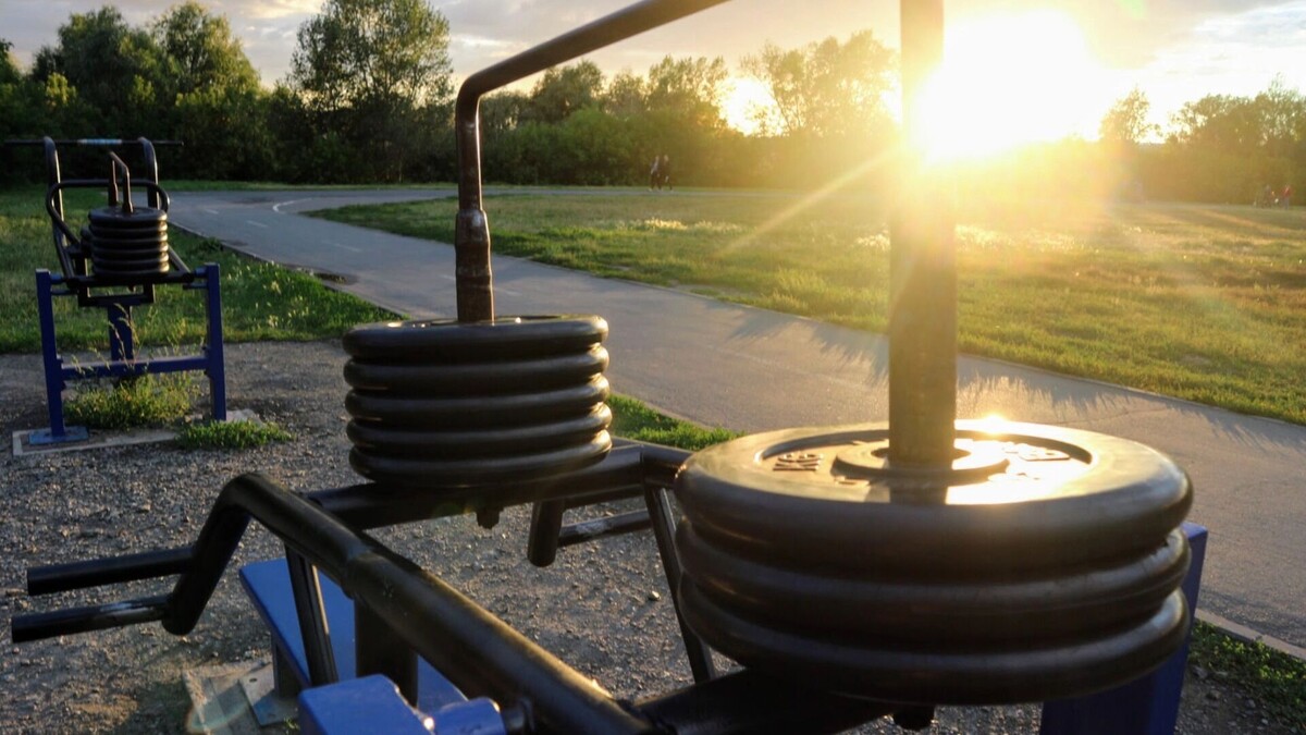     Источник: 1MI