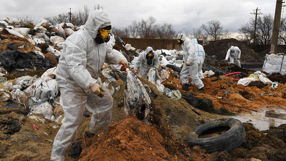 Фото: Виктор Коротаев / Коммерсантъ