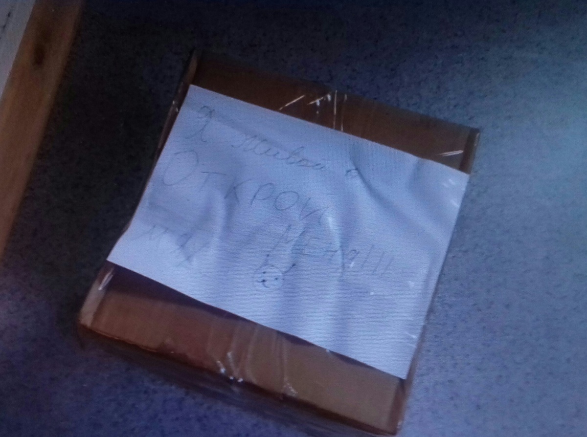 Вот в такой коробке подбросили котика.