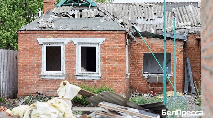 Фото: Елена Журавлёва