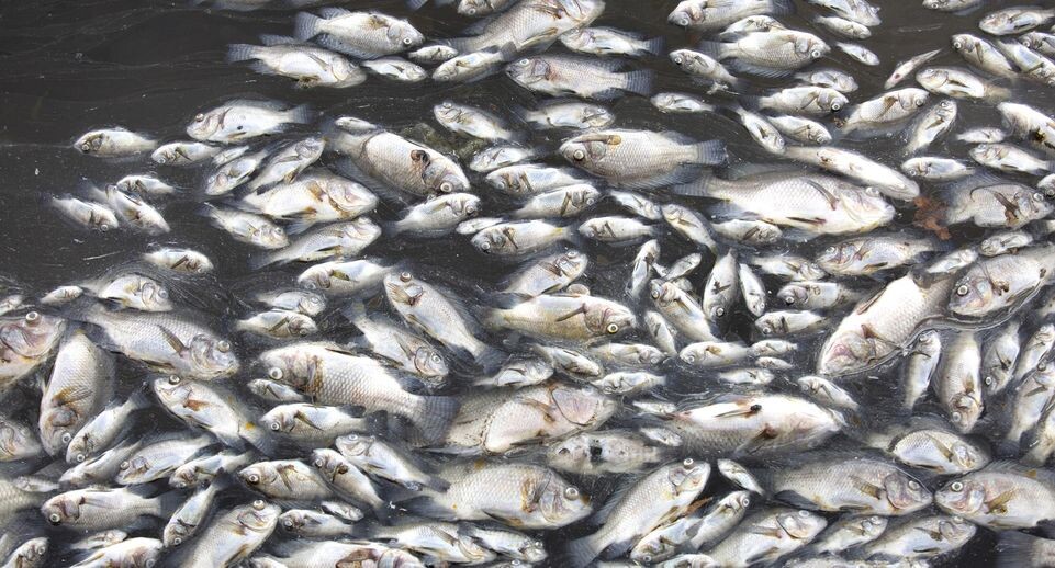    Cover Images/ Keystone Press Agency / www.globallookpress.com