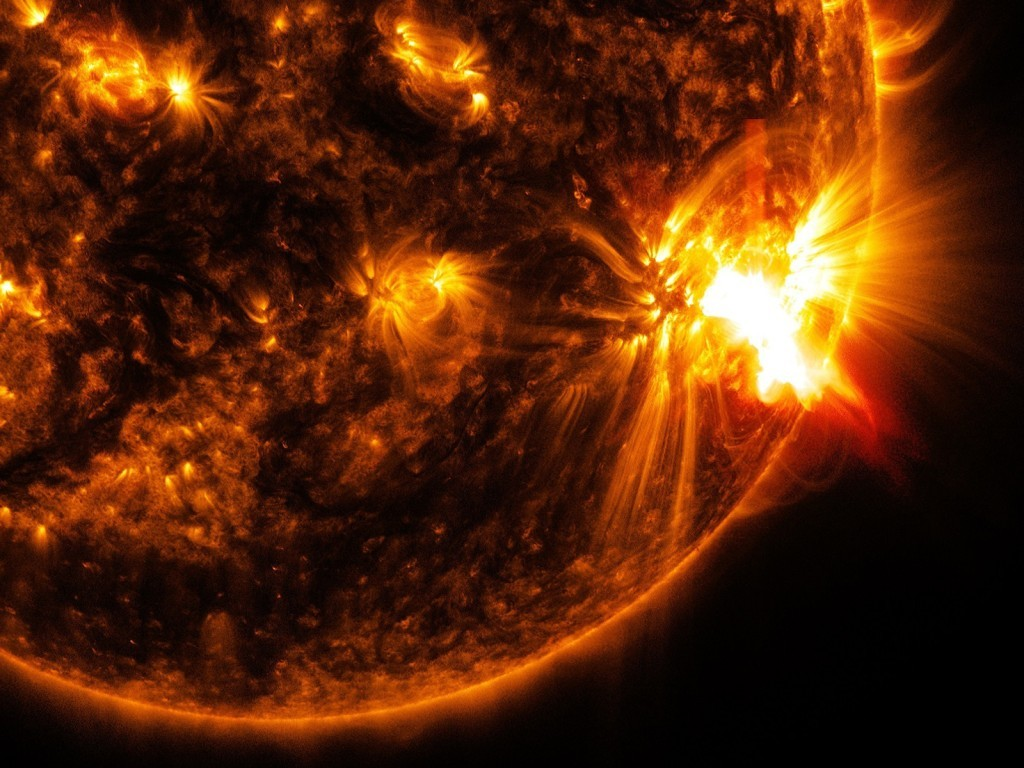 изображение из открытых источников