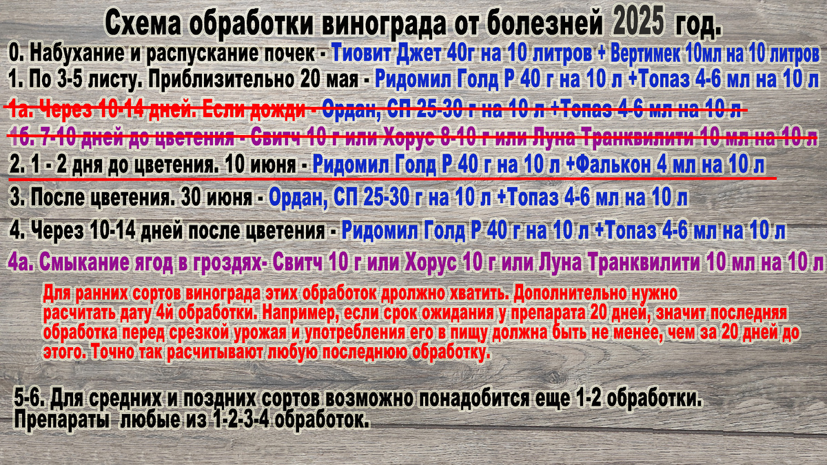 Втора обработка винограда.