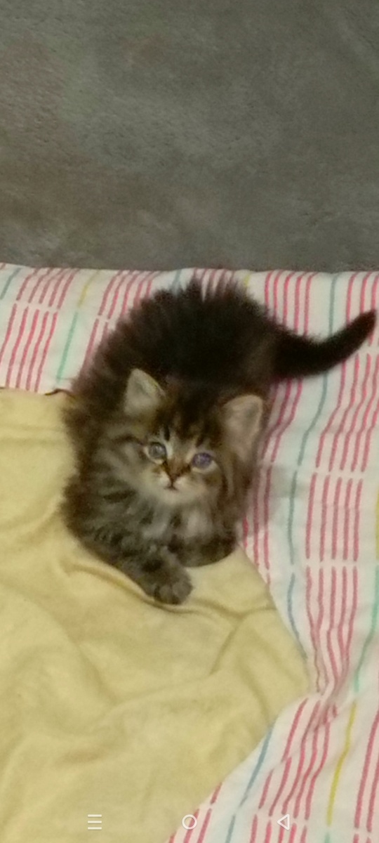 Из личного архива 