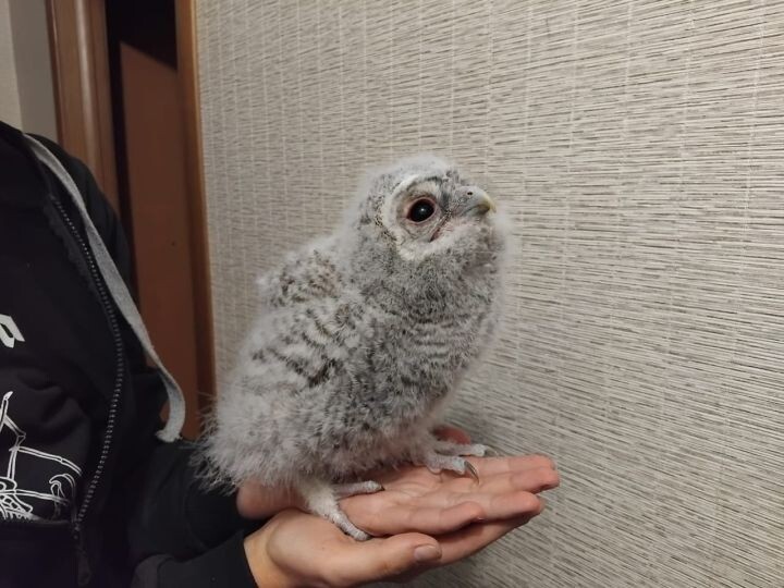    Фото: ВК-сообщество АНО "Наша природа"