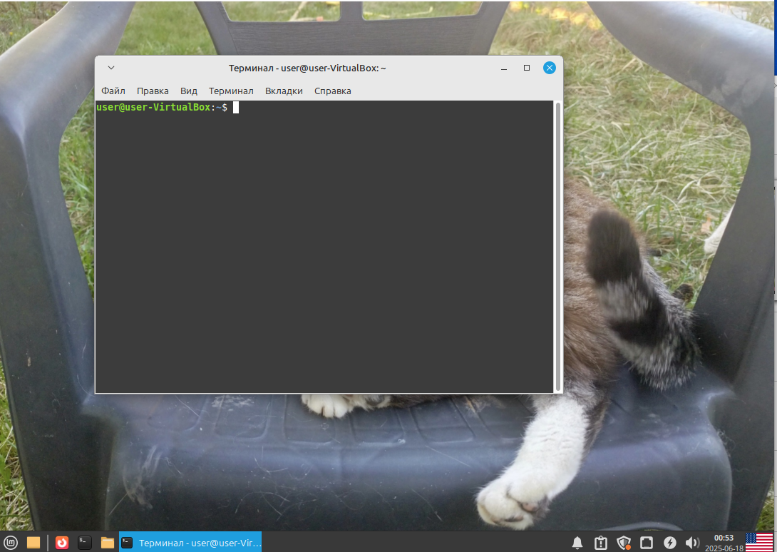 Окно "Терминал"