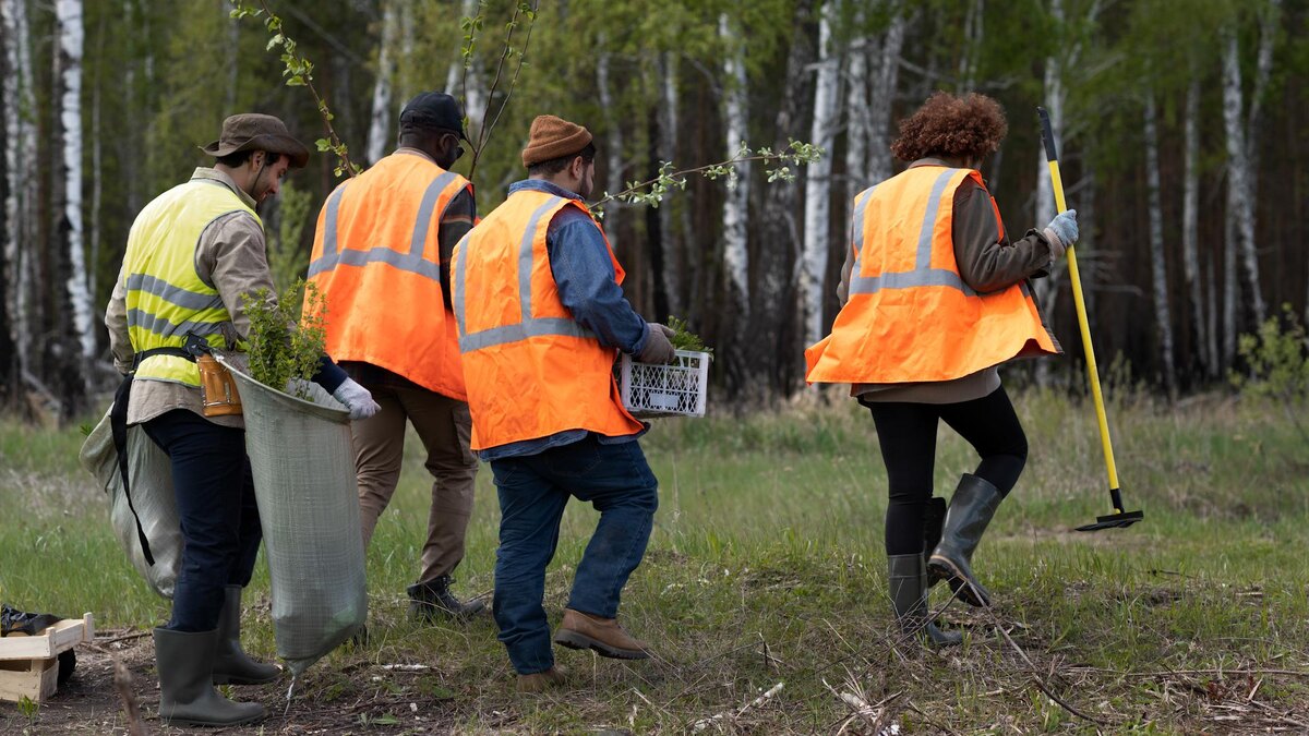    Фото: freepik.com