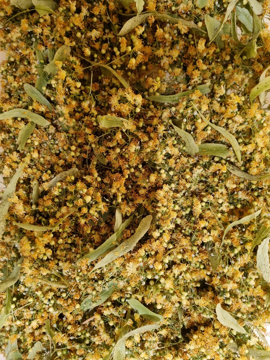 Липовый цвет. Не ферментируем!