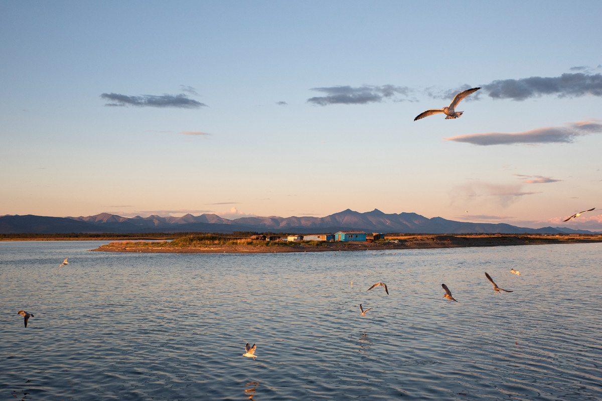 Фото автора.